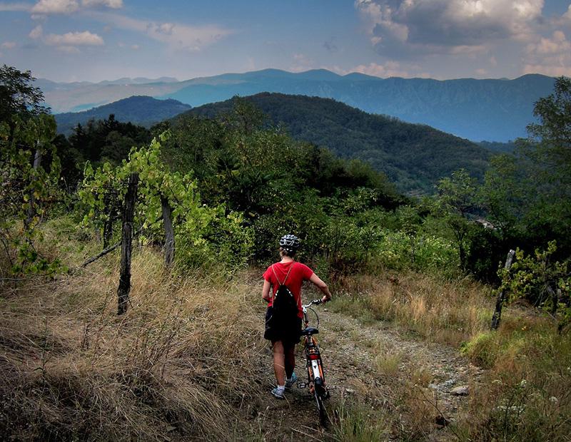 Female cyclist pushing a bicycle uphill on a wooded trail on a Slovenia tourism package, overlooking a green vineyard and the country's rolling hills.