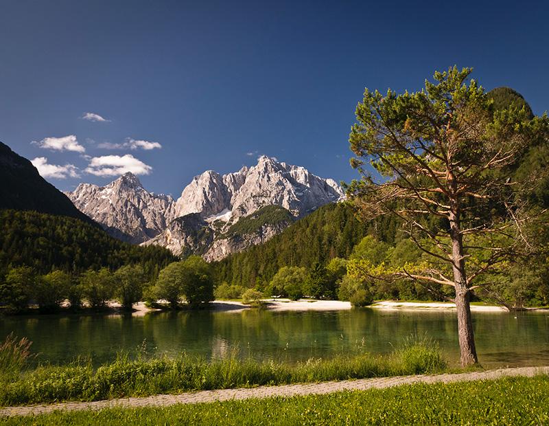 Stunning scenery of Lake Jasna with its clear water, set against the towering, jagged peaks of the Julian Alps, framed by a prominent pine tree in the foreground. Iconic Slovenia tourism spot.