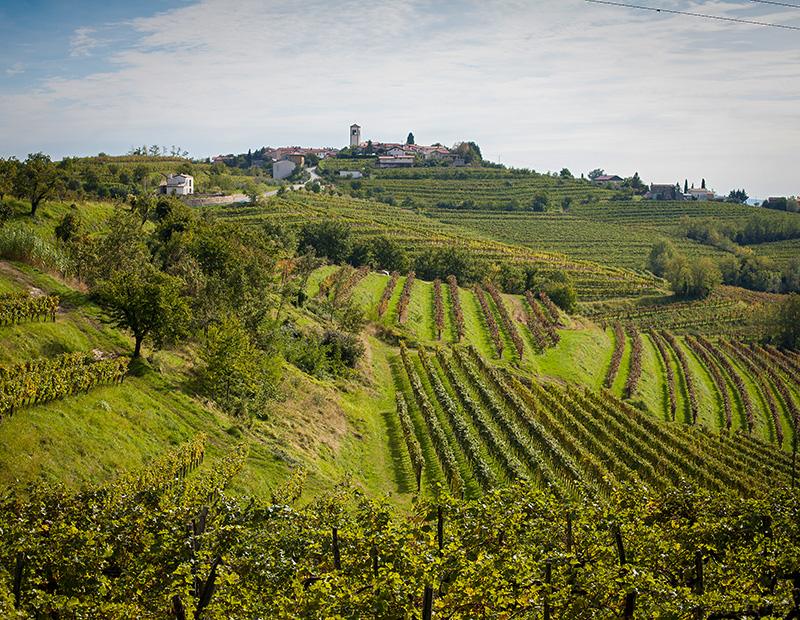 Aerial view of the charming hilltop village of Šmartno in Goriška Brda, a highlight of a Helia self-guided wine cycling tour in Slovenia.