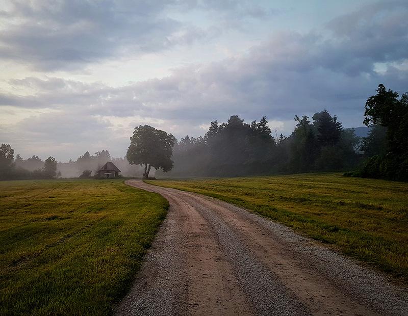 Atmospheric image of a gravel road winding through a misty meadow and forest at dawn in rural Slovenia. Self-guided cycling tour route.