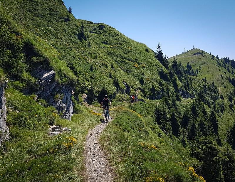 A group of mountain bikers riding a narrow, challenging singletrack trail carved into a steep, grassy alpine slope high in the Slovenian mountains.